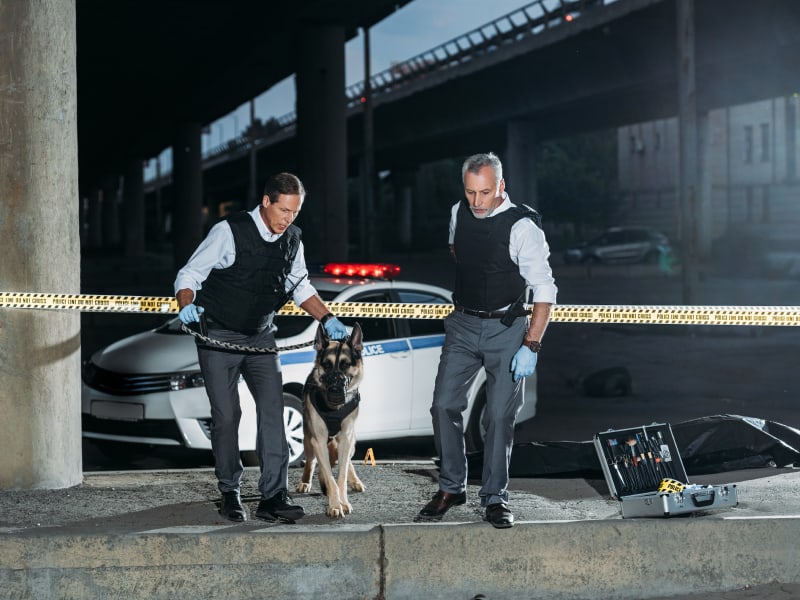 U VISA: VICTIMS OF CRIMES IN THE USA